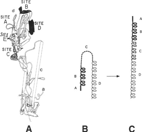 Fig. 10