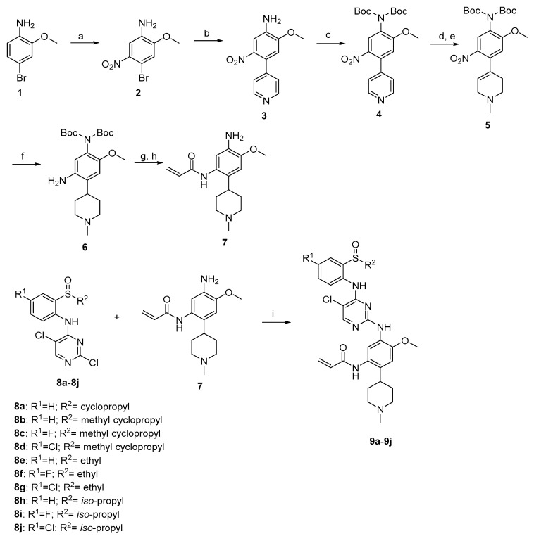 Scheme 1