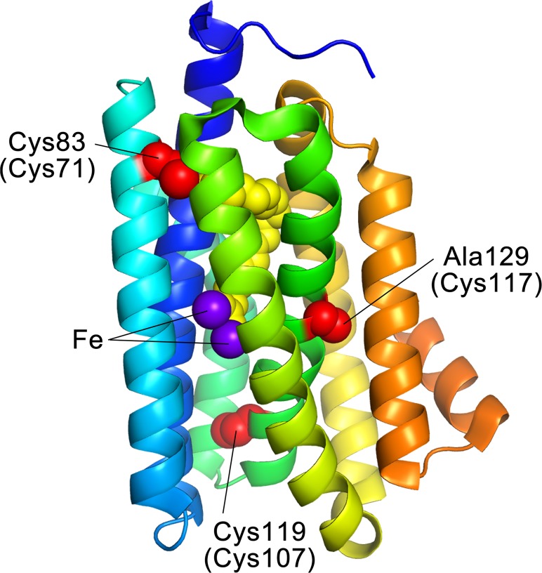 Fig 1