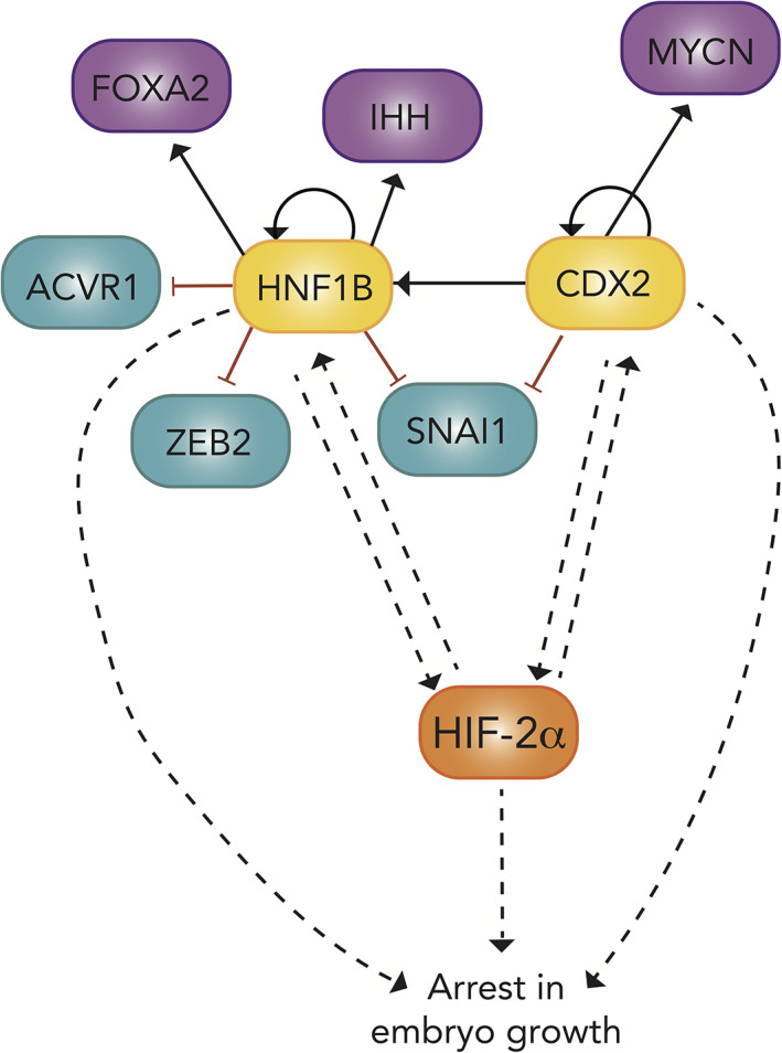 FIGURE 15