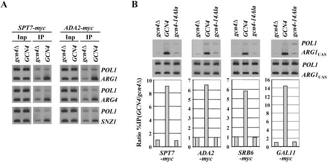 FIG. 1.