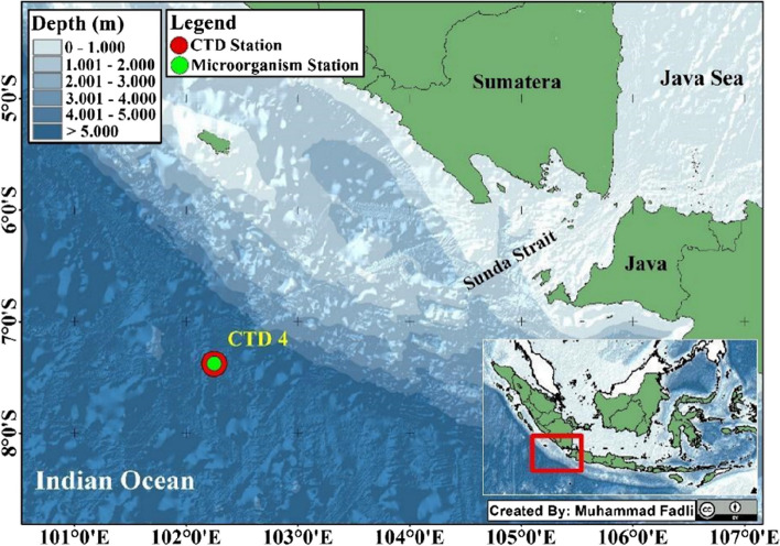 From the depths of the Java Trench: genomic analysis of Priestia flexa ...
