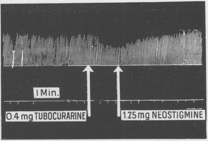 Fig. 2b