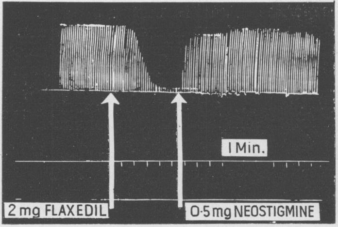 Fig. 2a