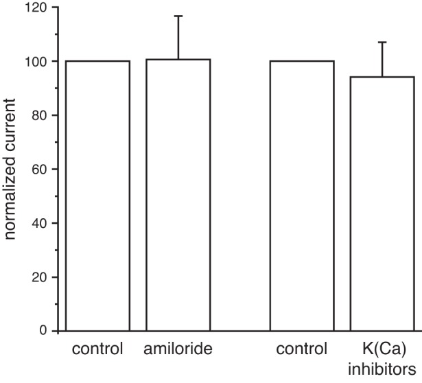 Fig. 8.