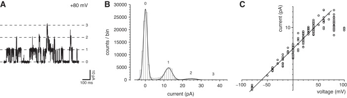 Fig. 3.