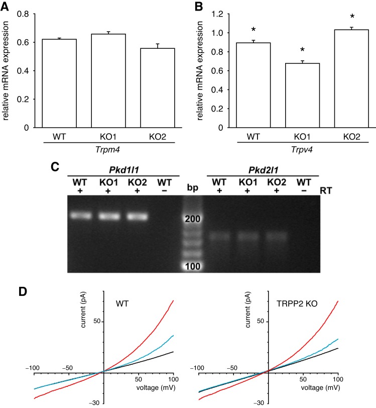 Fig. 10.