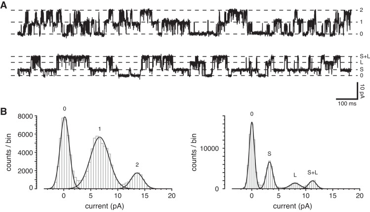 Fig. 7.