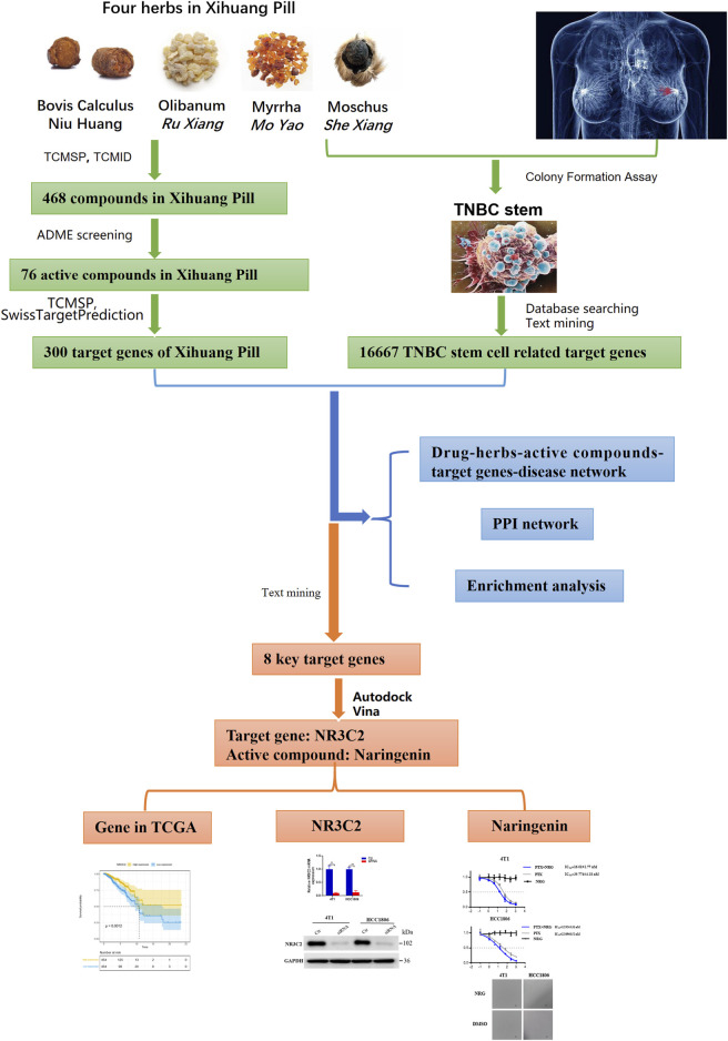 FIGURE 1