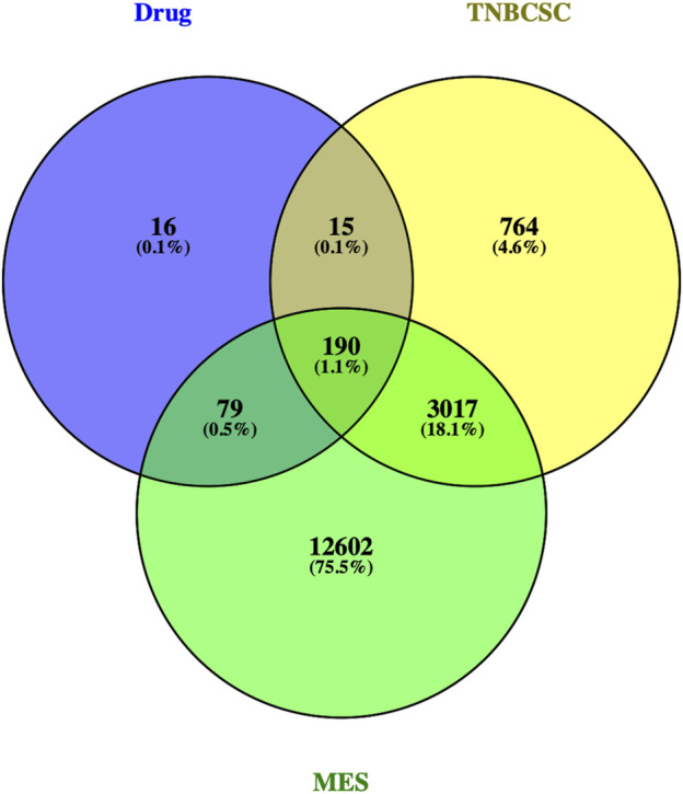 FIGURE 3