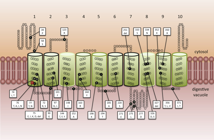 Fig. 2