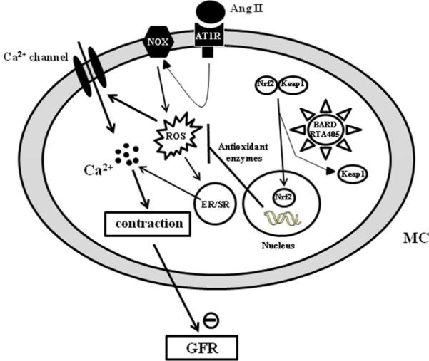 Fig. 10