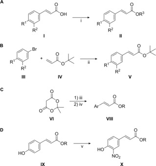 Scheme 1