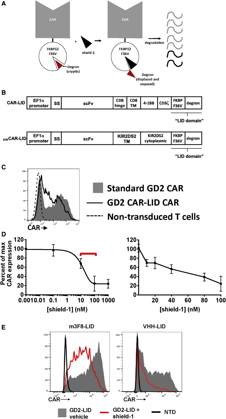 Figure 1