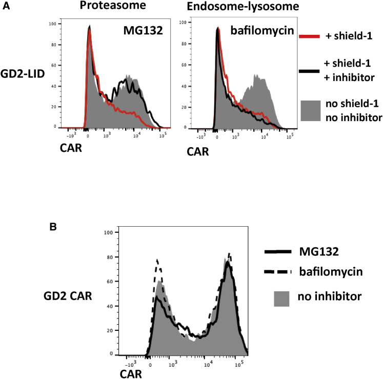 Figure 6