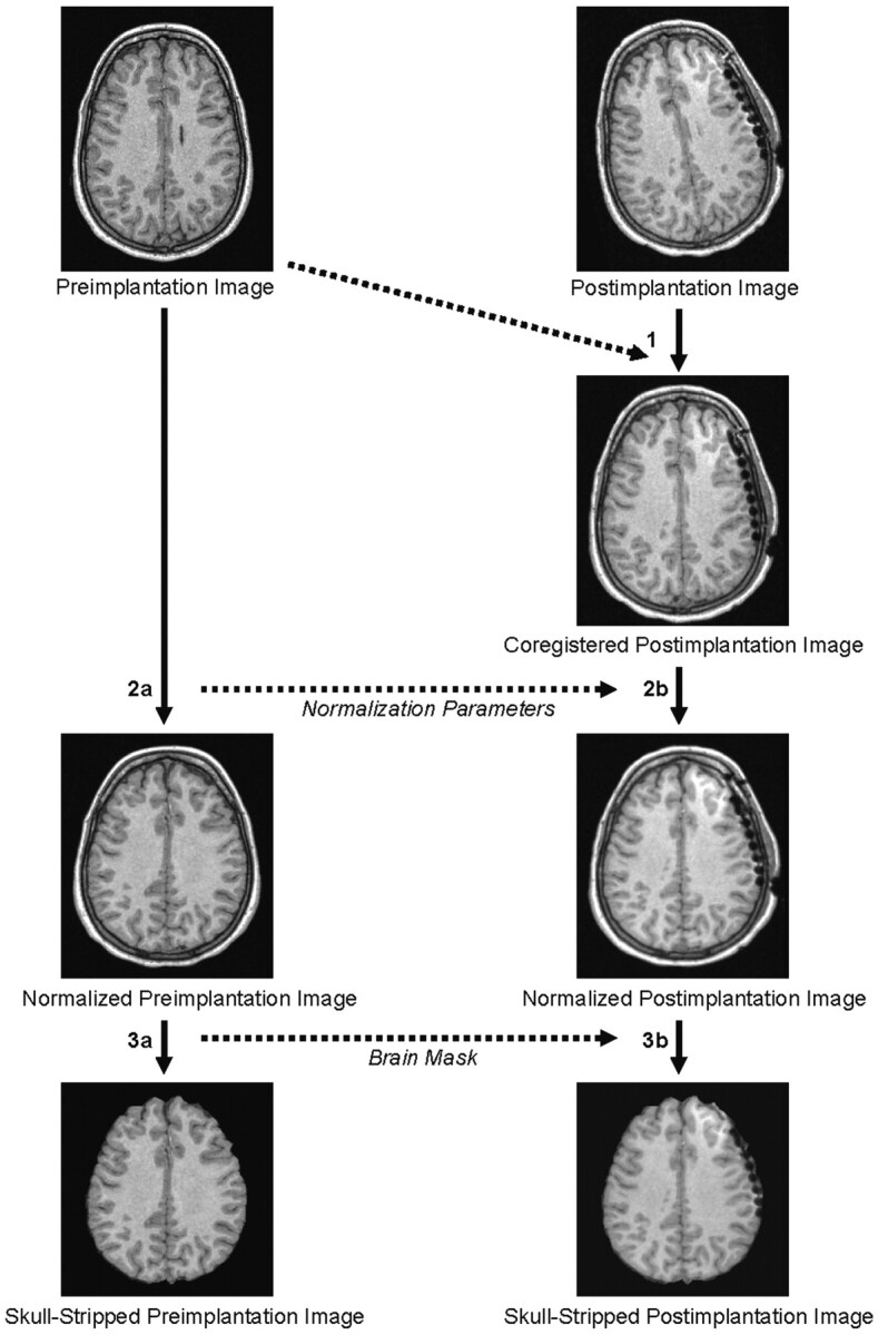 Fig 1.