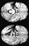 F<sc>ig</sc> 5.