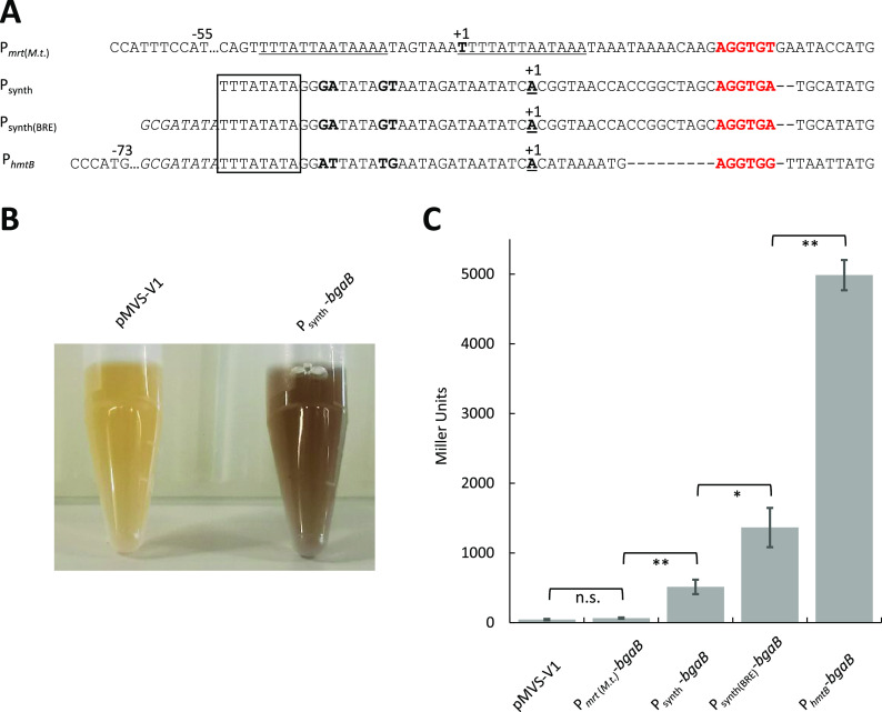 FIG 3