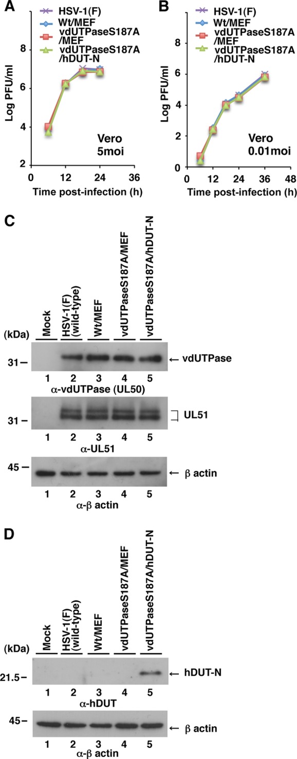 FIG 3