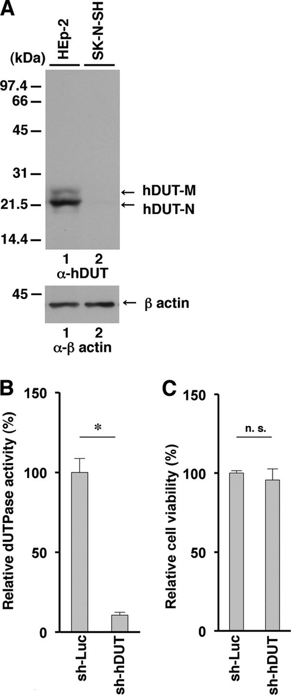 FIG 5