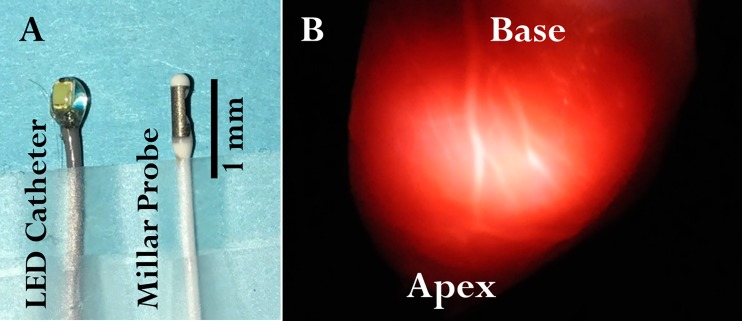 Fig. 1.