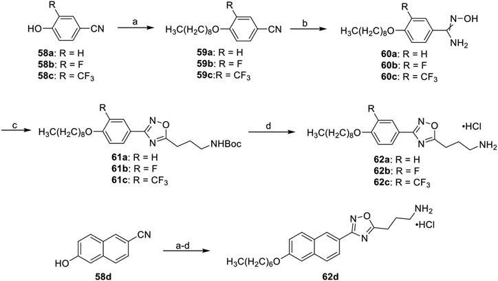 Scheme 9.