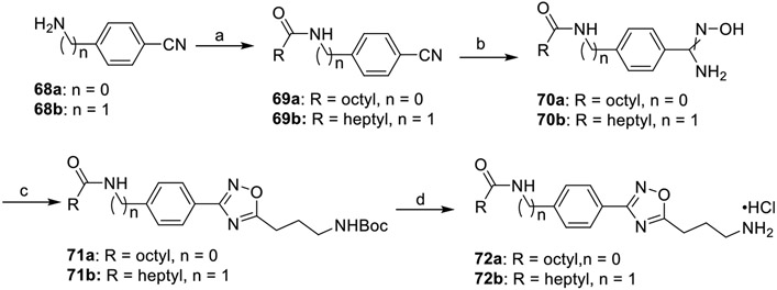 Scheme 11.