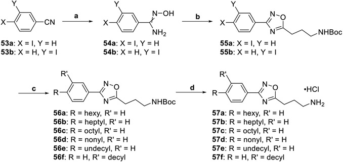 Scheme 8.