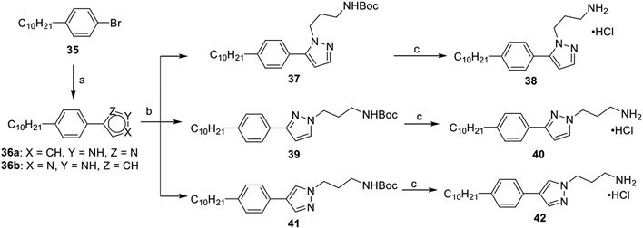 Scheme 5.