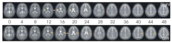 Fig. (3)