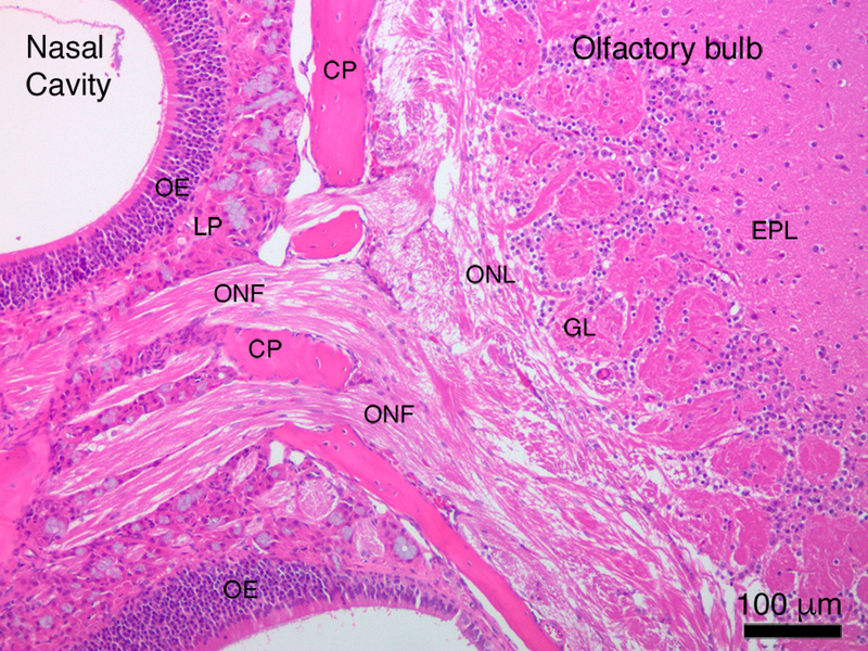 Figure 5.