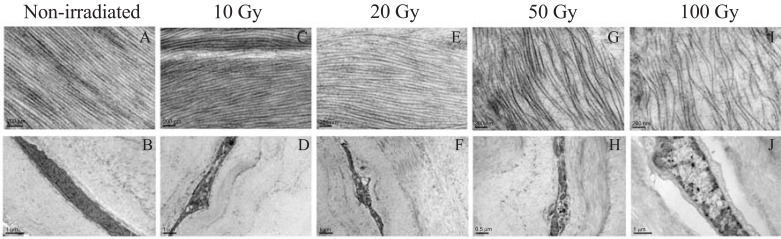 Fig. (6)