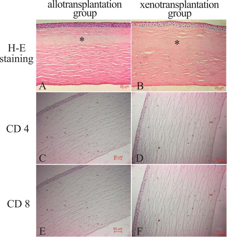 Fig. (8)