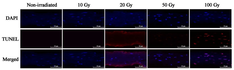 Fig. (4)