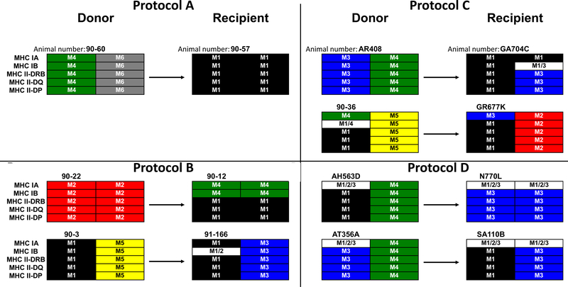 Figure 1: