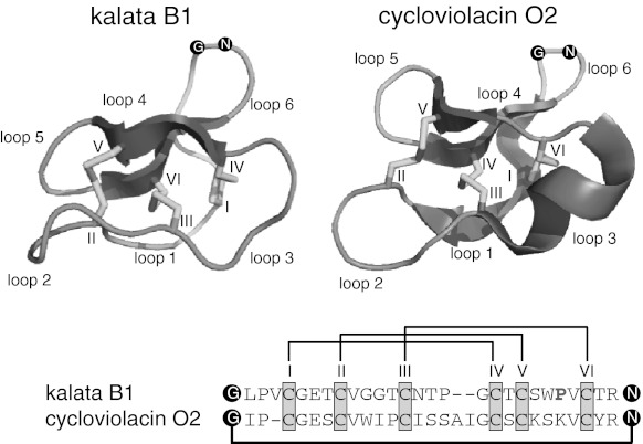 Fig. 1