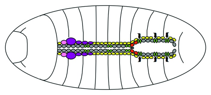 graphic file with name jkst-1-208-g1.jpg