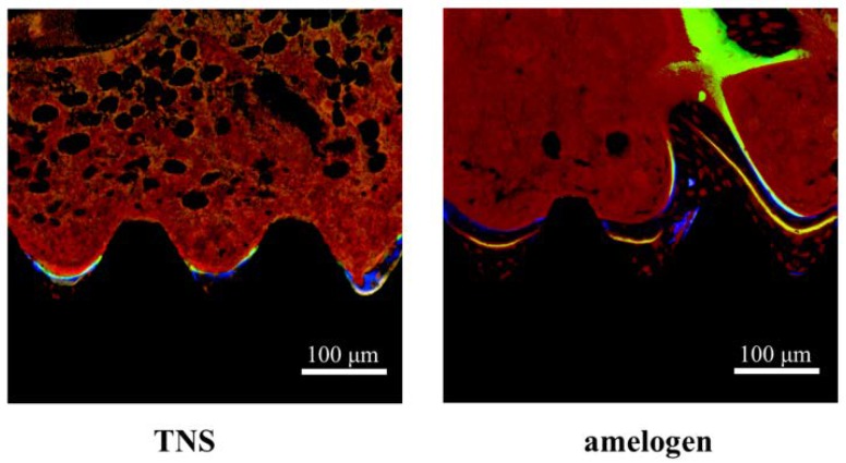 Figure 16