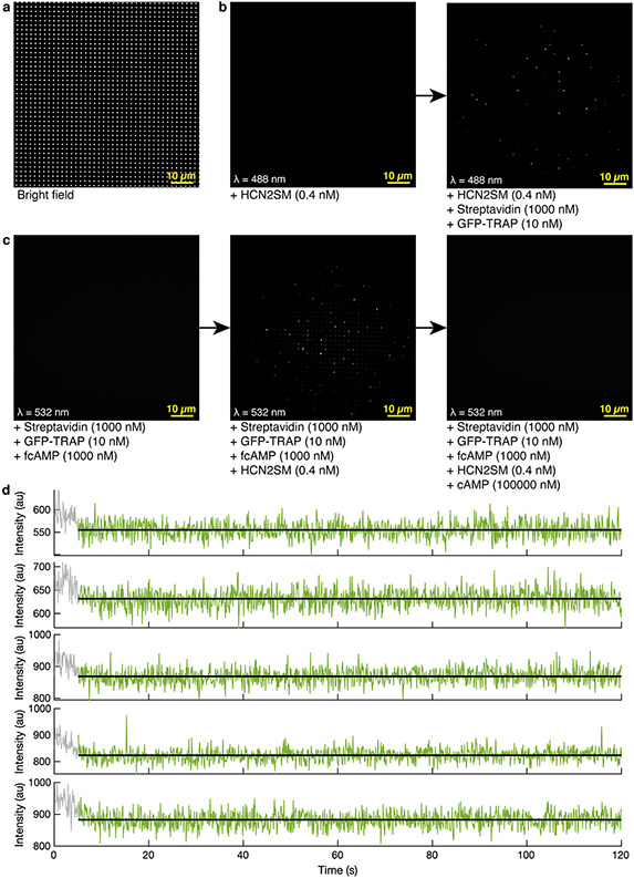 Extended Data Fig. 2: