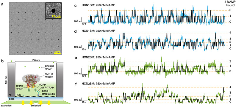 Fig. 1: