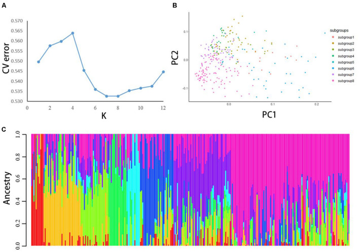 FIGURE 1