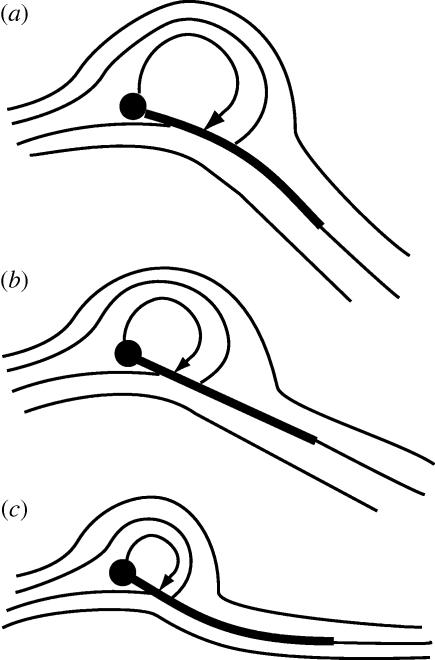 Figure 7.