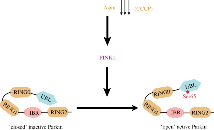 Figure 9.