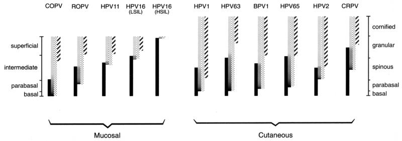 FIG. 8.