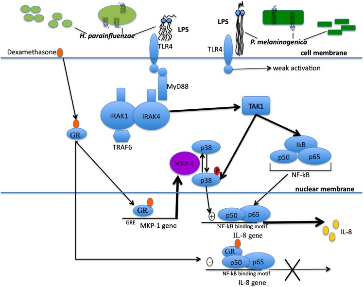 Figure 6.