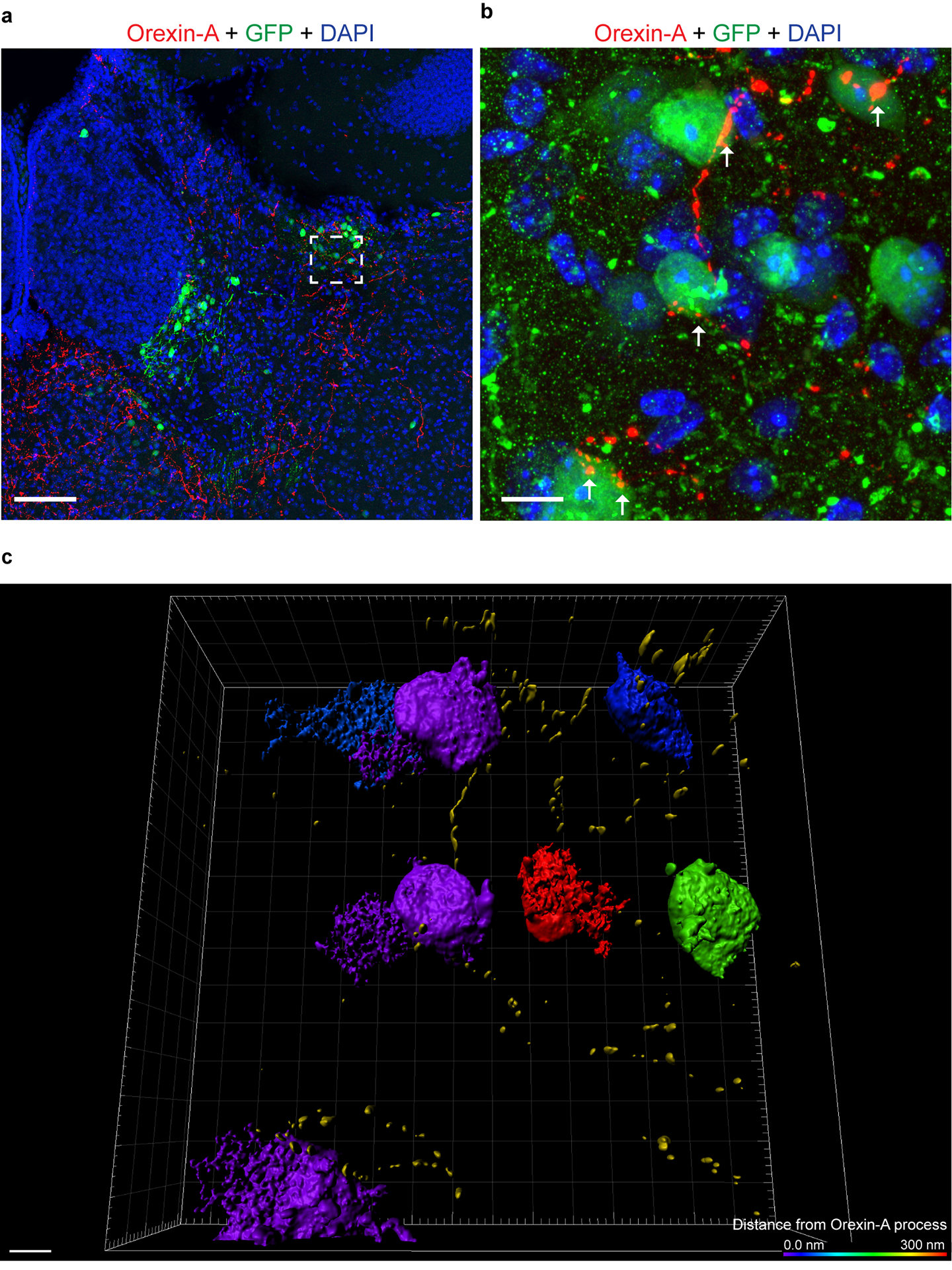 Extended Data Fig. 5