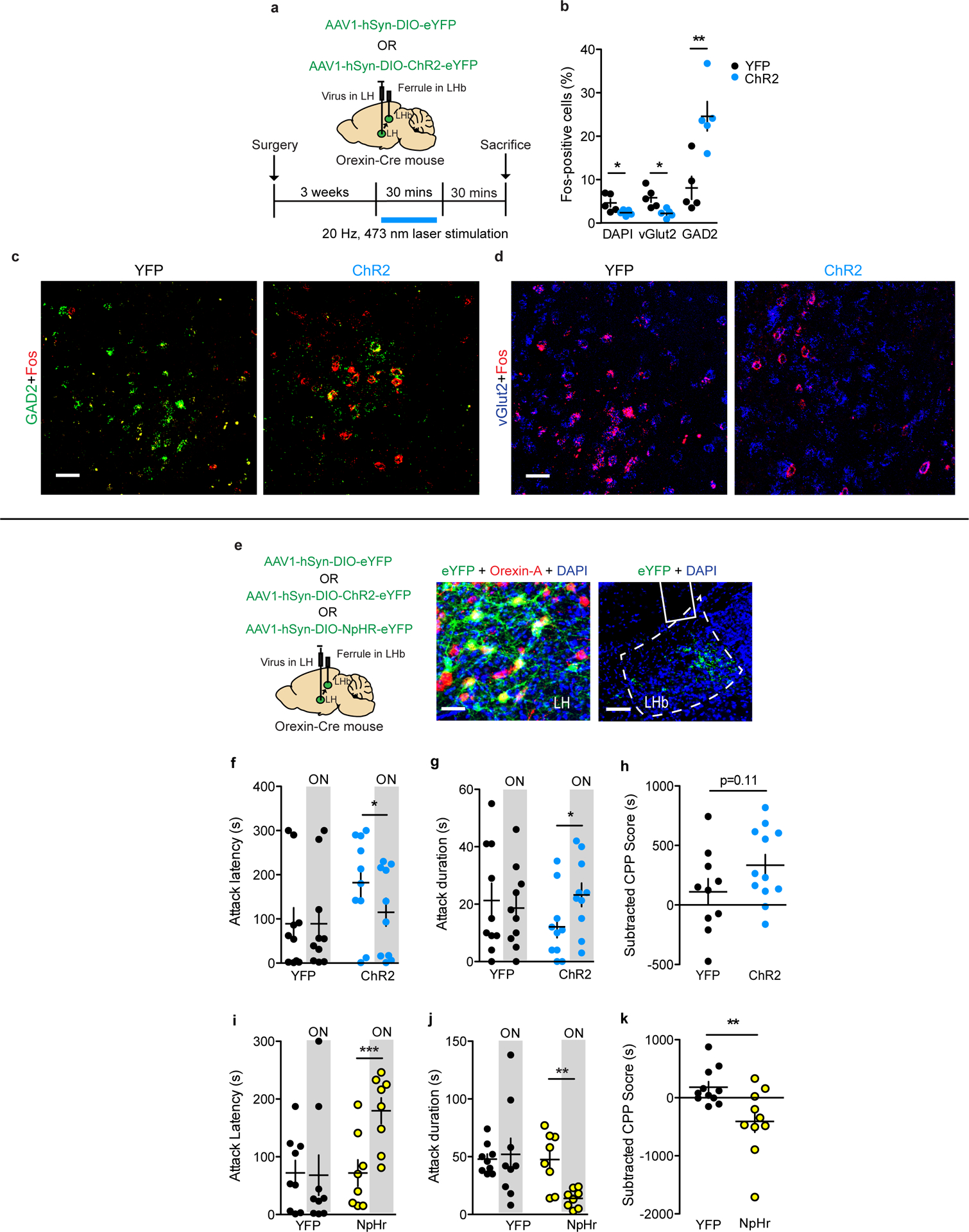 Figure 6: