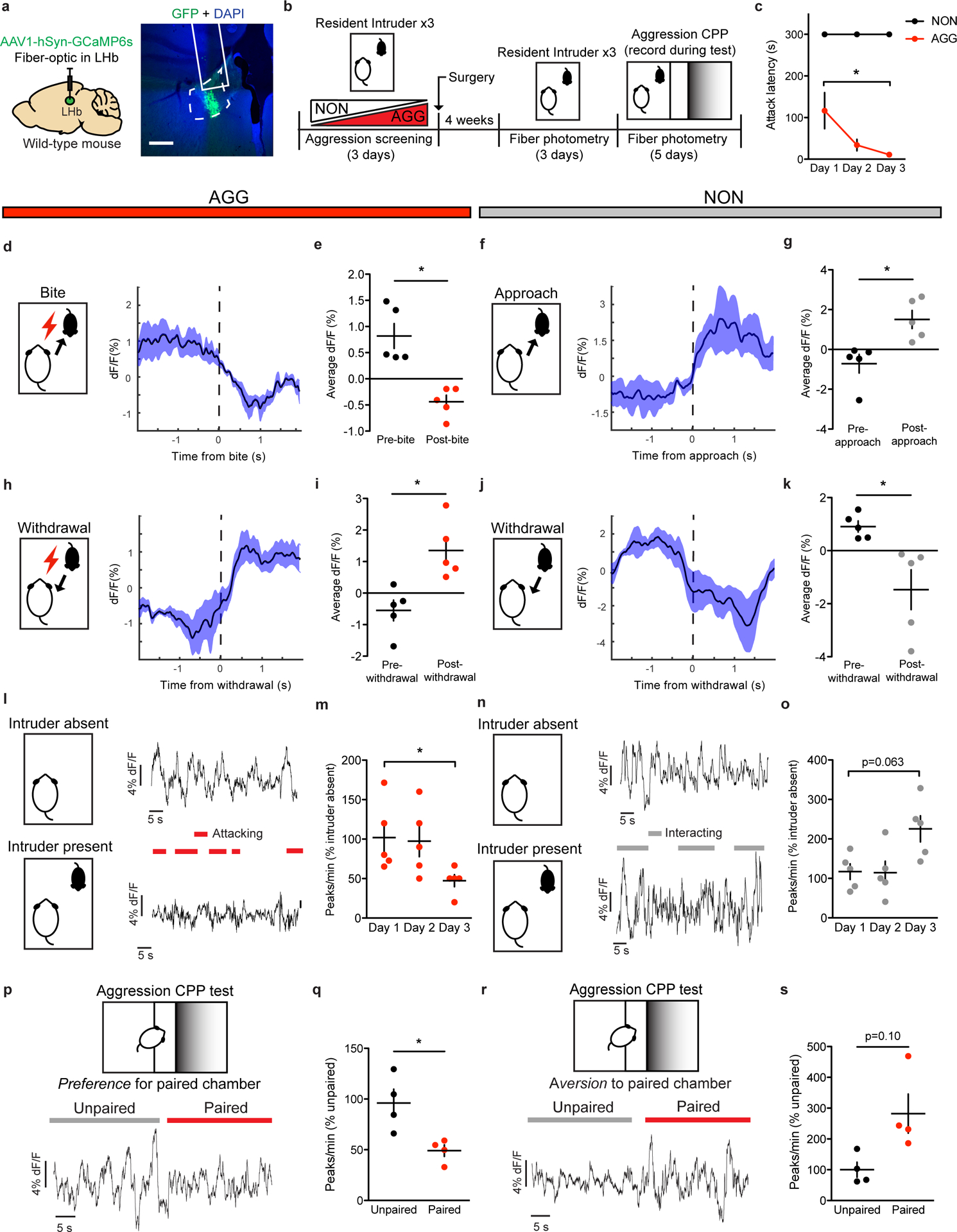 Figure 1: