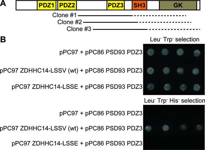 Figure 1—figure supplement 2.