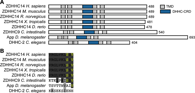 Figure 1—figure supplement 1.